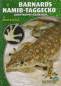 Preview: Barnards Namib-Taggecko